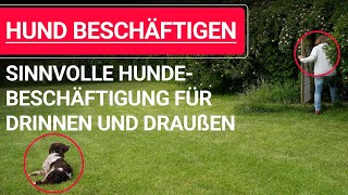 🐶 Hund beschäftigen ➡️ Sinnvolle Hundebeschäftigung für drinnen und draußen 🐶✔️ [upl. by Htinnek]