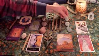 Spiritual Reading Earth Element Rune Ogham Oracle cards Feb 2020 [upl. by Winters875]