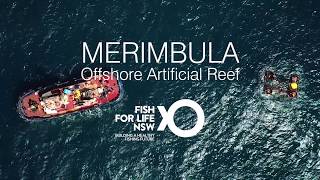 Merimbula Bay Offshore Artificial Reef [upl. by Fernandez]