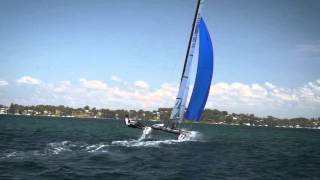 Nacra 17 Training On Lake Macquarie [upl. by Inoliel]