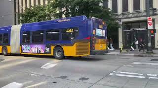 10 minutes of King County Metro Bus Action  3rd amp Seneca 61622 [upl. by Ainekahs]