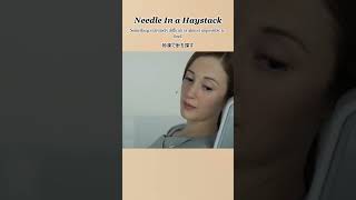 needle in a haystackの使いかたわかる？ 英語 movie idioms [upl. by Mame]