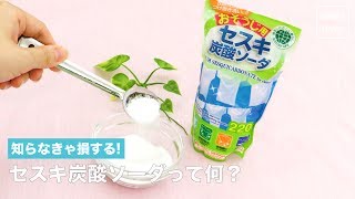 知らなきゃ損する！セスキ炭酸ソーダって何？ [upl. by Moishe]