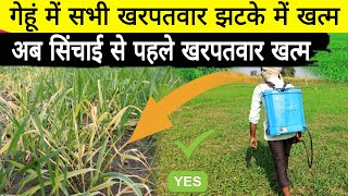 गेहूं में पहली सिंचाई से पहले सभी खरपतवारों का खात्मा Wheat weed control before first irrigation [upl. by Ronn]