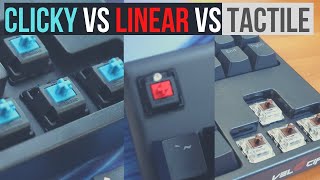 Clicky Vs Tactile Vs Linear Mechanical Keyboard Switches with Sound Tests And Examples [upl. by Margarette663]