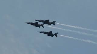 SEPECAT JAGUARS FLYPAST [upl. by Greenfield948]