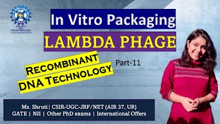 InVitro Packaging Lambda Phage Vector gate csirnetjrf gatb dbt bet biotechnology lifescience [upl. by Otirecul]