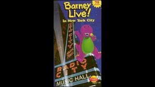 Barney Live in New York City 2000 VHS How it Should Have Been in My Opinion [upl. by Eitak]