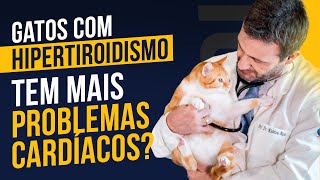 As consequências do Hipertiroidismo felino no sistema cardiovascular [upl. by Gordie]