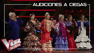 Las Senior Copleras cantan De Andalucía soy  Audiciones a ciegas  La Voz Senior Antena 3 2020 [upl. by Viscardi]