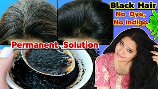 Permanent Solution Of Premature White Hairs Black Fenugreek Shampoo To Make Hair Black।Garima Singh [upl. by Leaj]