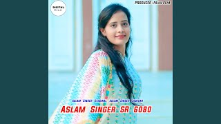 ASLAM SINGER SR 6080 [upl. by Zetrom392]