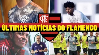 NOVO MANTO 3  VENDA DE HUGO SOUZA  DIRETOR DE FUTEBOL ARGENTINO NO FLAMENGO  PREPARAÇÃO DO TIME [upl. by Icul]