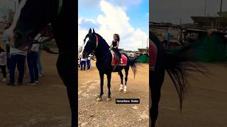 Dhruhi Horse 🐎 Riding  horse horses ghoda horseriding horselover ytvideo shortsfeed dhruhi [upl. by Aklam307]