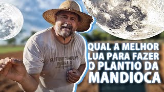 Melhor lua para plantar mandioca [upl. by Lamaaj31]