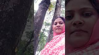 Gorumara forest song bollywood music viralmyvideo exploremorechallenge cute [upl. by Ade]