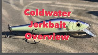 JERKBAIT Overview  FallWinter Seasonal Patterns  Rod Reel Line Lure Selection  jerkbaits [upl. by Corel399]