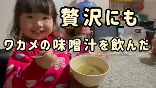 味噌汁を飲みながらママに伝えたかった事【ボリビア生まれの日本人二歳児】 [upl. by Elwira]