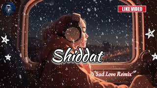 Shiddat Song Female versionSad Love Remix Song [upl. by Hardie]