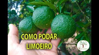 COMO PODAR LIMOEIRO E OUTROS CITROS Plantar em Casa [upl. by Naitsirhc296]