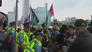 Protest begin in downtown Chicago ahead of DNC [upl. by Mij369]