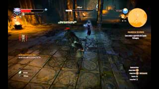 The Witcher 3  Como matar Nithral  Caçada Selvagem  no Hard [upl. by Laefar]