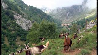 113 Ruta desde Tielve a las Majadas de Vierru Valfrío y Tobaos Invernales del Texu Collado Pandébano Sotres Valle de Sobra y Tresviso [upl. by Grete]