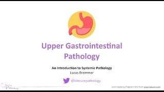 Upper Gastrointestinal GI Pathology  Introduction to Systemic Pathology [upl. by Merta]