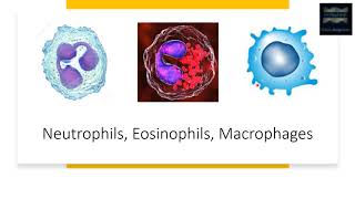 Tumor Necrosis Factor [upl. by Sidwell]