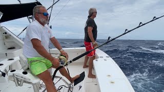 Heavy Tackle Giant Black Marlin fishing Cairns Great Barrier Reef Australia 2022 [upl. by Mairam201]