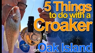 5 Things to do with a Croaker [upl. by Ettolrahc233]