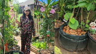 My Garden Vlog 🌱cleaningroutine growingincontainers gardenmulch organicvegetablegardening [upl. by Keely]