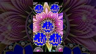 Ahwarun ahwarun gojol  palestines gojol  urdu naat  urdu gojol  shorts islam allah [upl. by Eeladnerb]