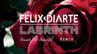 Labrinth  Beneath Your Beautiful Felix Diarte Remix [upl. by Larrisa]