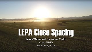 Save Water and Increase Alfalfa Yields with LEPA Close Spacing ‒ Interview with John Mauer [upl. by Eelyahs]