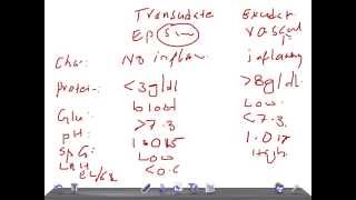 QUICK PATHOLOGY Transudate Vs Exudate pleural effusion [upl. by Grefe]