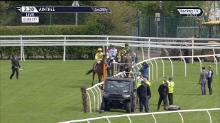 NICKY HENDERSON IS BACK SIR GINO WINS AT AINTREE [upl. by Sheets171]