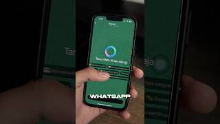 Meta AI WhatsApp [upl. by Valentina881]