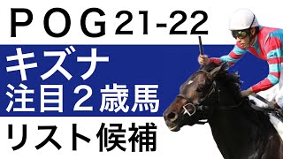 【POG2122】キズナ産駒の注目２歳馬をピックアップしました【指名・良血馬】 [upl. by Wiencke227]