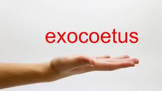 How to Pronounce exocoetus  American English [upl. by Suiramed]