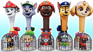 Paw Patrol CHALLENGE Saving the pups from the cages [upl. by Treblihp]