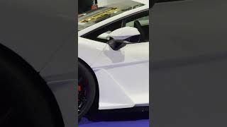 Lamborghini Revuelto Stunning Display at Auto Zürich 2024 [upl. by Pax]