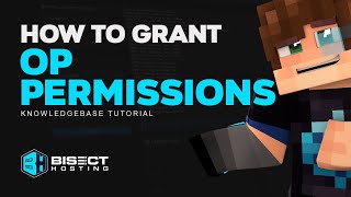 How to Grant OP Permissions on a Minecraft Server [upl. by Atteiluj92]