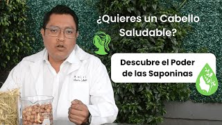 Saponinas para el Cabello Beneficios a Largo Plazo [upl. by Osman]