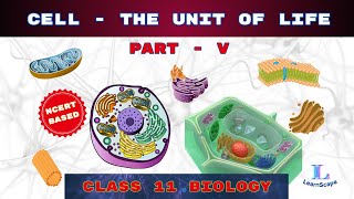 Cell  The Unit Of Life  PART  V class 11 Biology  NCERT  COHSEM  CBSE [upl. by Htebizile]