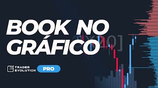 Book de Ofertas Direto no Gráfico  TraderEvolution [upl. by Atiugal]