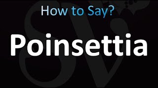 How to Pronounce Poinsettia in British English UK [upl. by Evilc101]