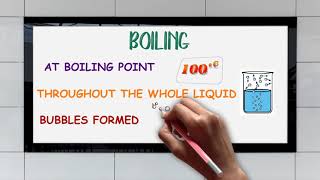 EVAPORATION VS BOILING [upl. by Scutt]