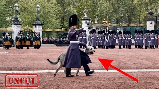 The ENTIRE Buckingham Palace ‘Changing of the Guard ceremony’ FRONT ROW SPECIAL GUEST [upl. by Ernestine]