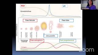 PARALELO DE HISTOLOGÍA GLÁNDULAS ENDÓCRINAS [upl. by Laise]